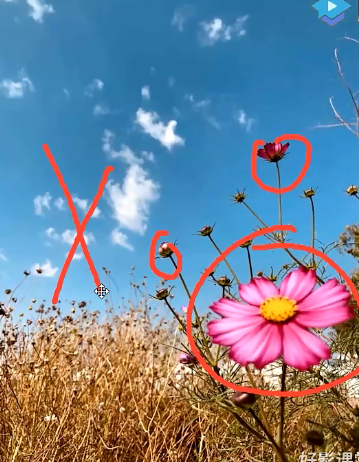 image-20221103194354549