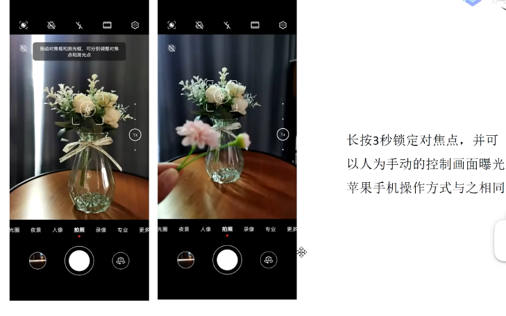 image-20221103192539239