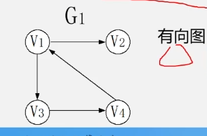 有向图