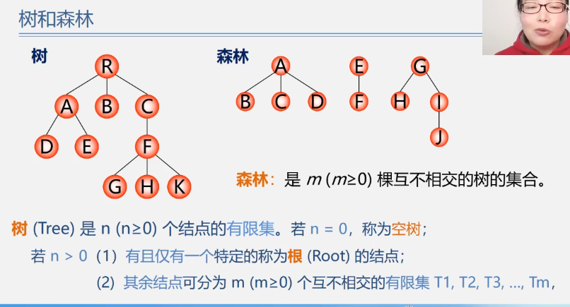 树和森林