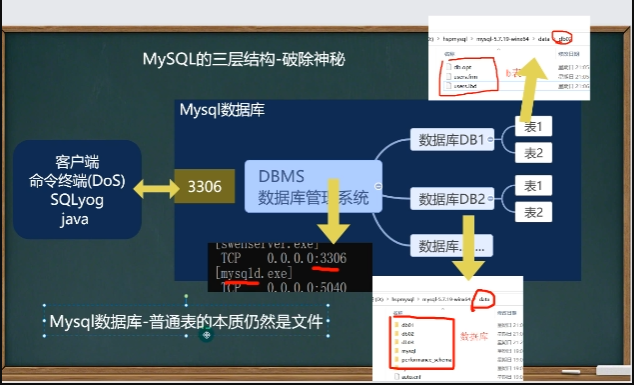 P2 MySQL三层结构