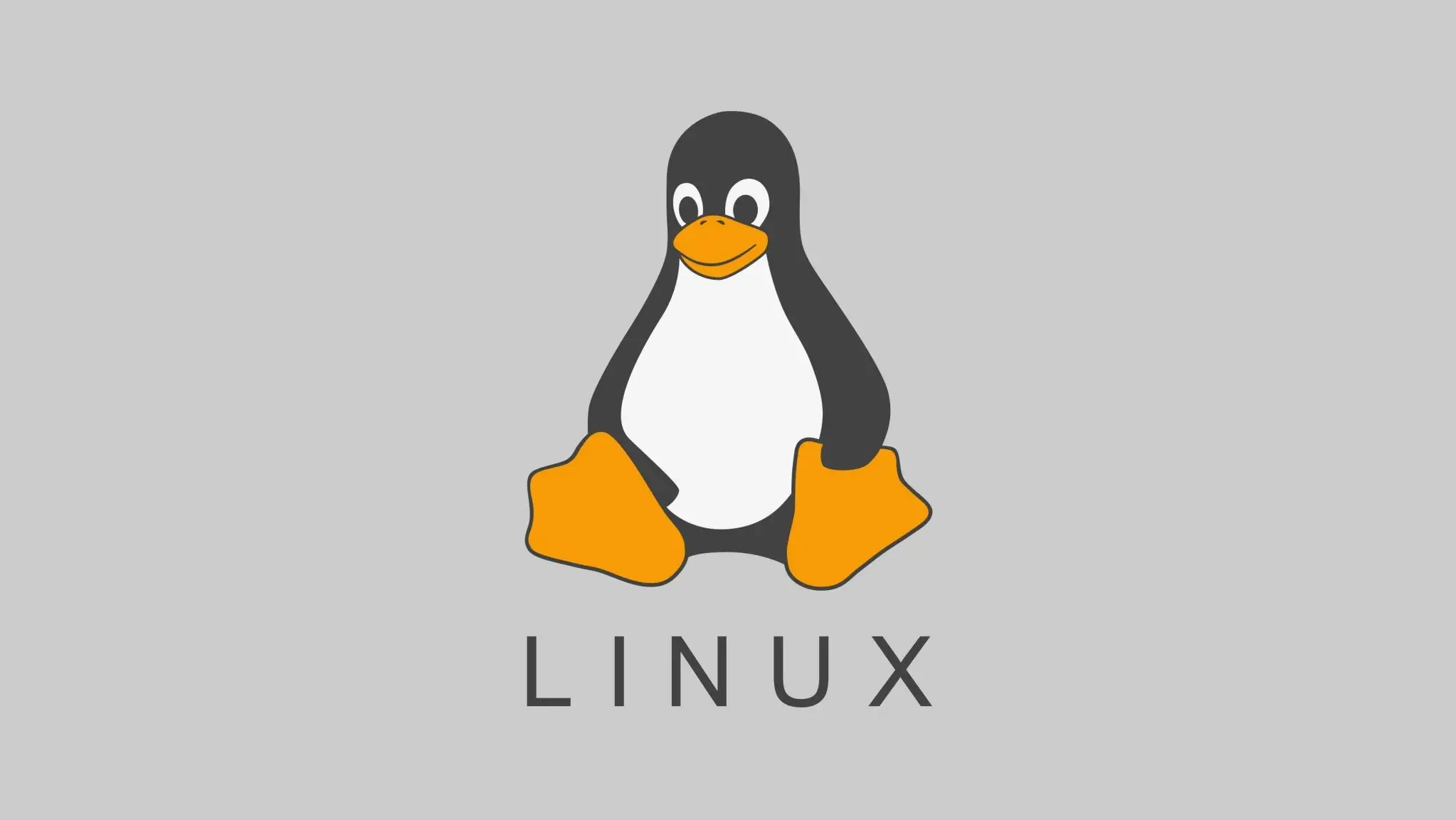 linux-路由追踪