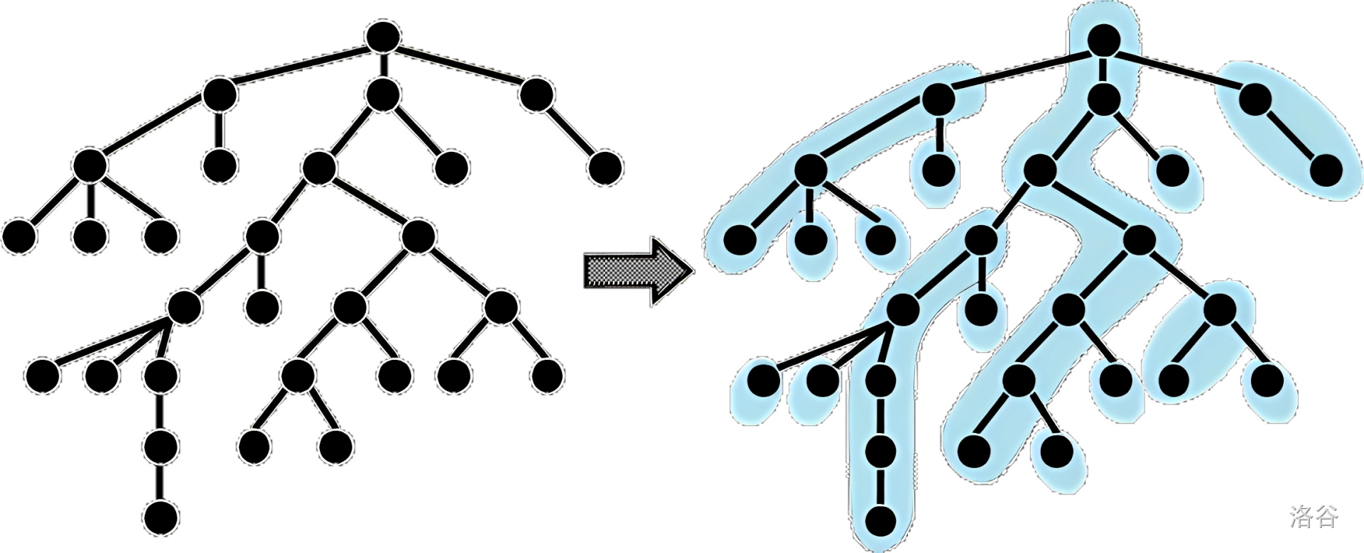 重链剖分的例子