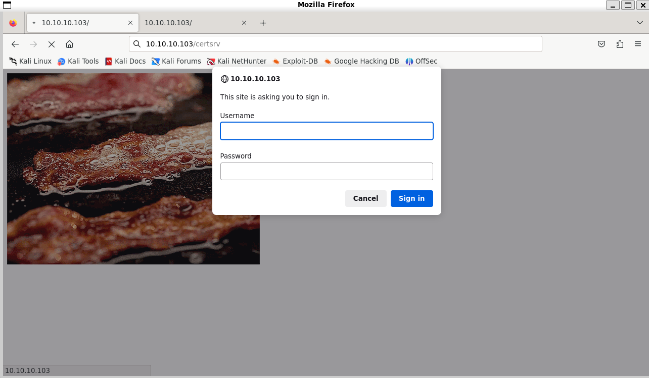 image-20240715102213171