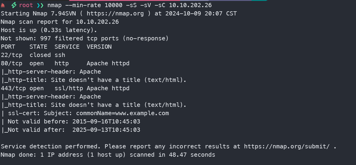 image-20241009200954547