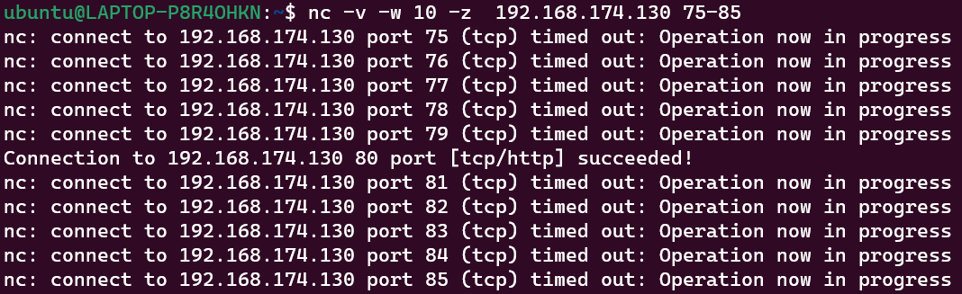 image-20231213181448107