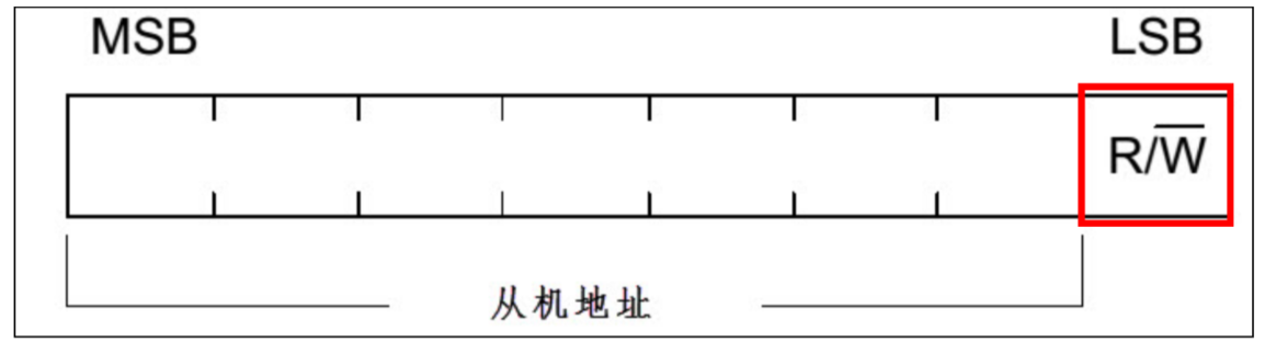 image-20250205213929578