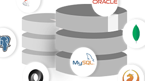 如何使用报表工具FastReport VCL 设计器中的 PDF/A？