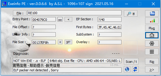 攻防世界逆向】【高手题】《re1-100》《EasyRE》《parallel-comparator 