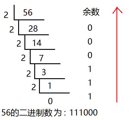 03-变量\常量\进制-小白菜博客