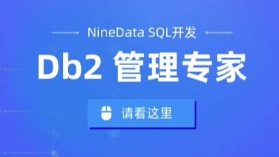 保障数据安全，提升工作效率：NineData平台助力Db2数据库
