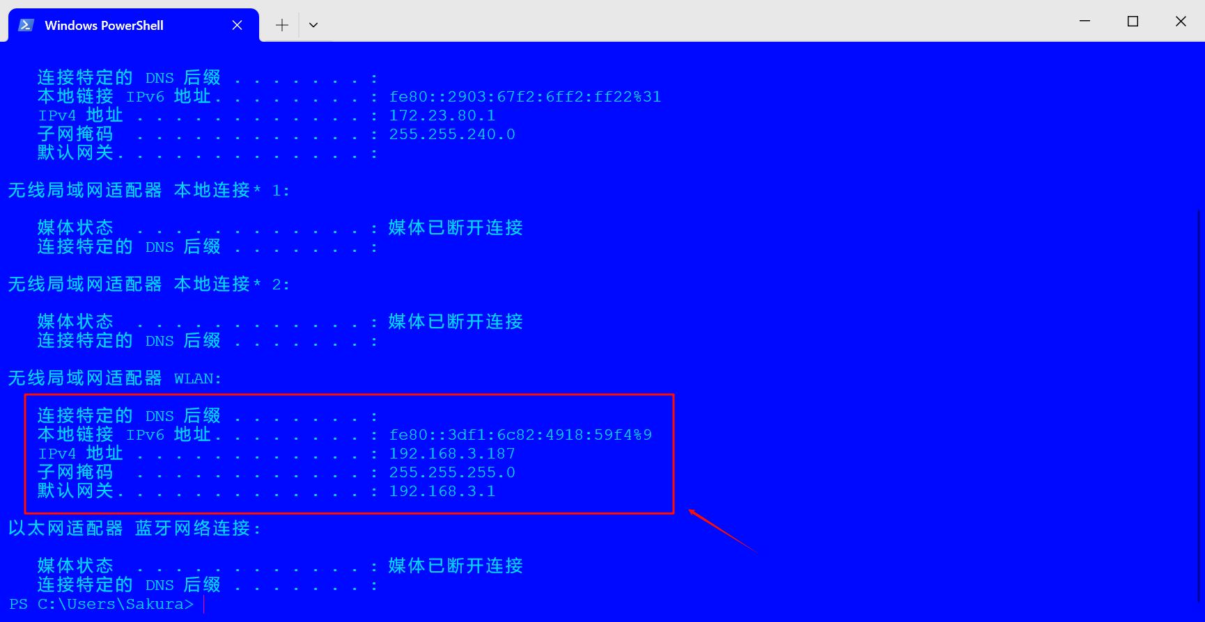 查看局域网IP和网关