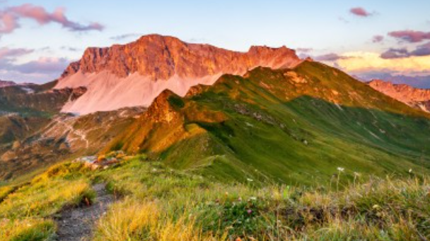 Mac平台开发Net Core 记录