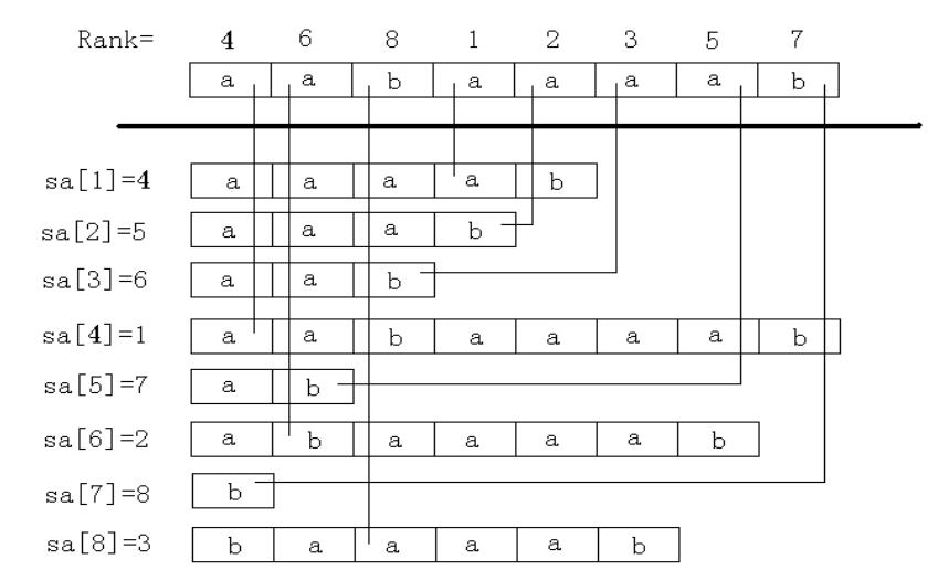 后缀数组C++详解