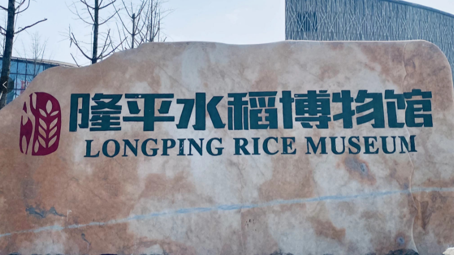 走进隆平水稻博物馆，再次感受袁老的伟大！