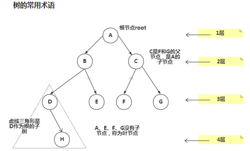 树的常用术语.png