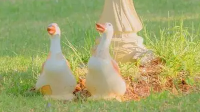 接口文档,jwt介绍和构成,jwt签发与认证,base64编码,drf-jwt使用,django-rest-framework-jwt快速使用,定制签发返回格式,源码分析