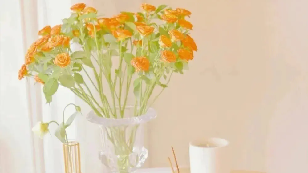 RESTful API规范,序列化,Django Rest_Framework