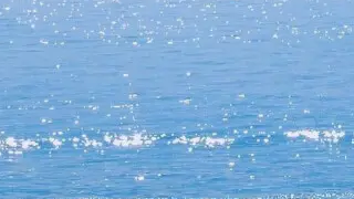  创建vue3项目，setup函数，ref函数，reactive函数，计算监听属性，生命周期， torefs，vue3 setup写法