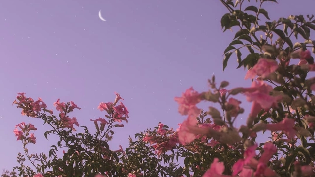 注册功能， 前端登录注册页面，前端登录功能，前端注册功能， redis介绍和安装