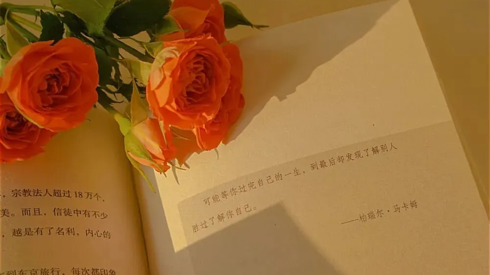 代理池搭建，代理池使用，爬取某视频网站， 爬取新闻，bs4介绍和遍历文档树