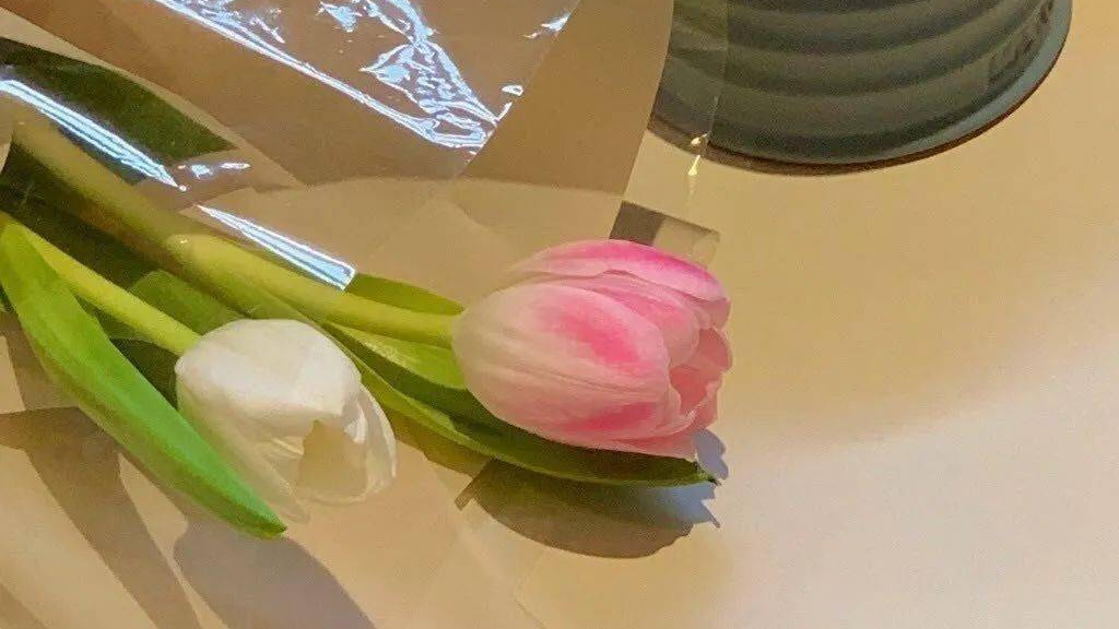 搜索文档树，bs4其它用法，css选择器，selenium基本使用，selenium其它用法