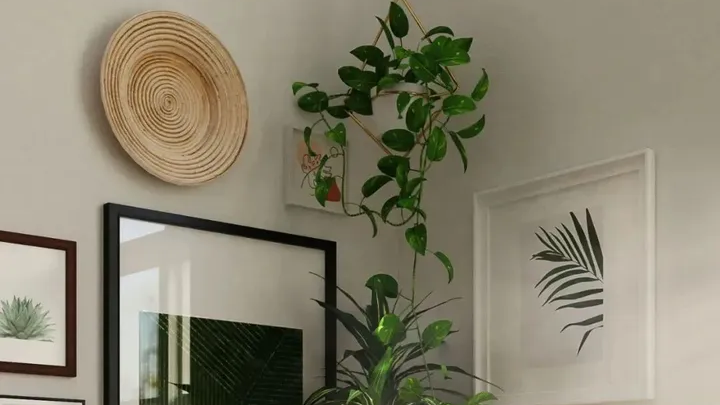 cbv源码，模板，请求响应，session 