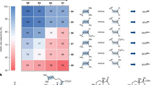 Beautiful Chemistry Issue 1| Photoinduced Alkene Cleavage Using Nitroarenes