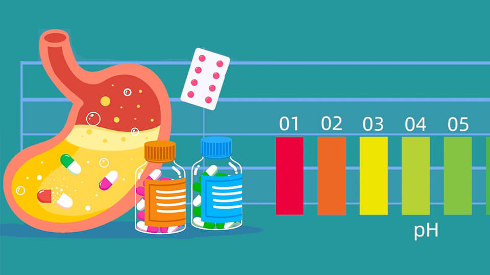 What&#39;s the role of Minipig animal models in drug development?