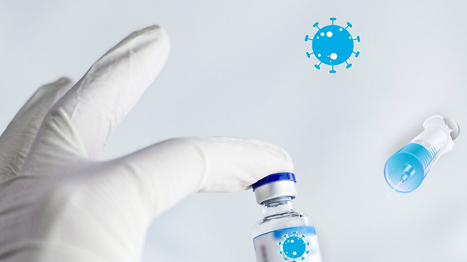 Exploring the Role of Preclinical Toxicology Tests in Vaccine Development