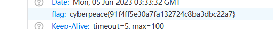 flag: cyberpeace{91f4fße30a7fa132724c8ba3dbc22a7)  (9) Keep-Alive: timeout—5 max: 100 
