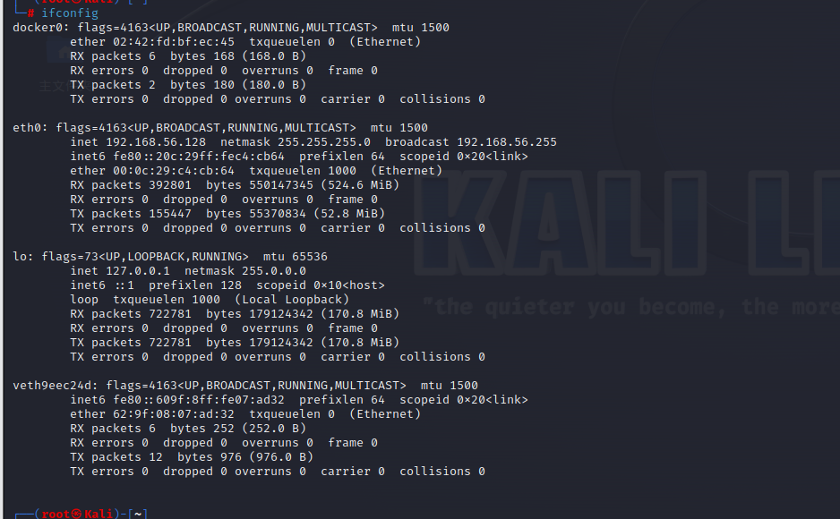 image-20230618105303289