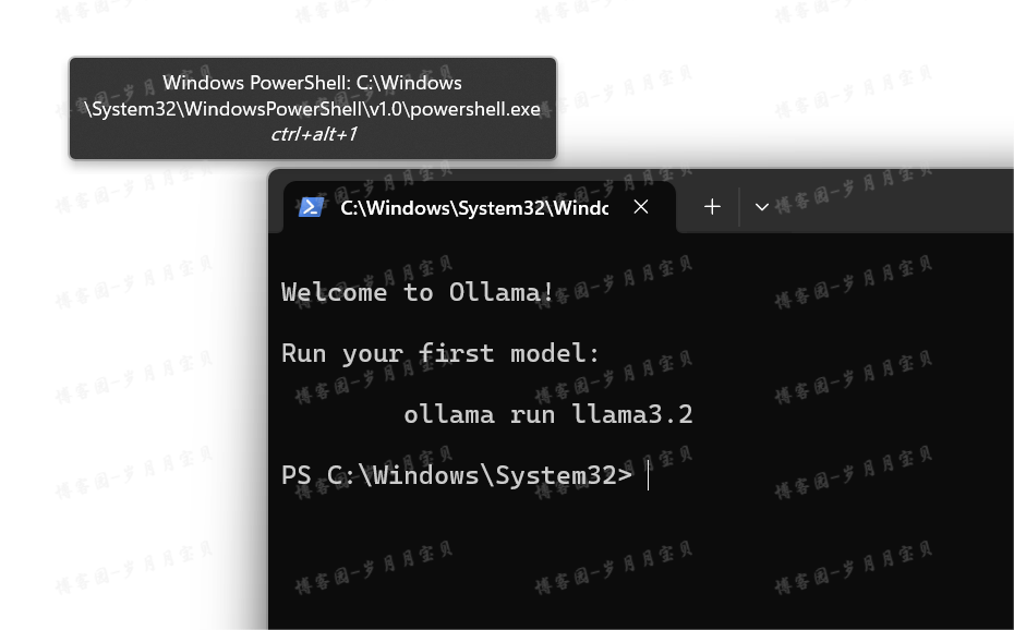 image-20250122102719602