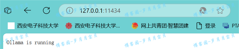 image-20250122110108893