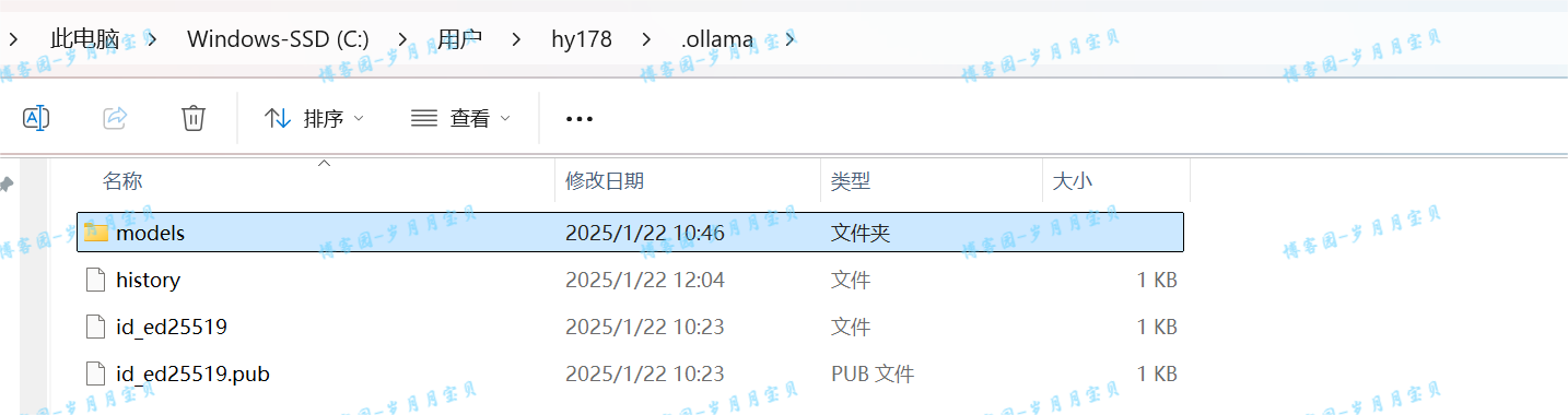 image-20250122141715874