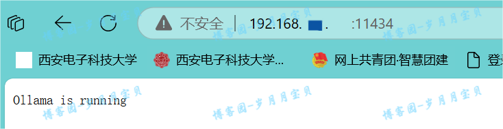 image-20250122143334701