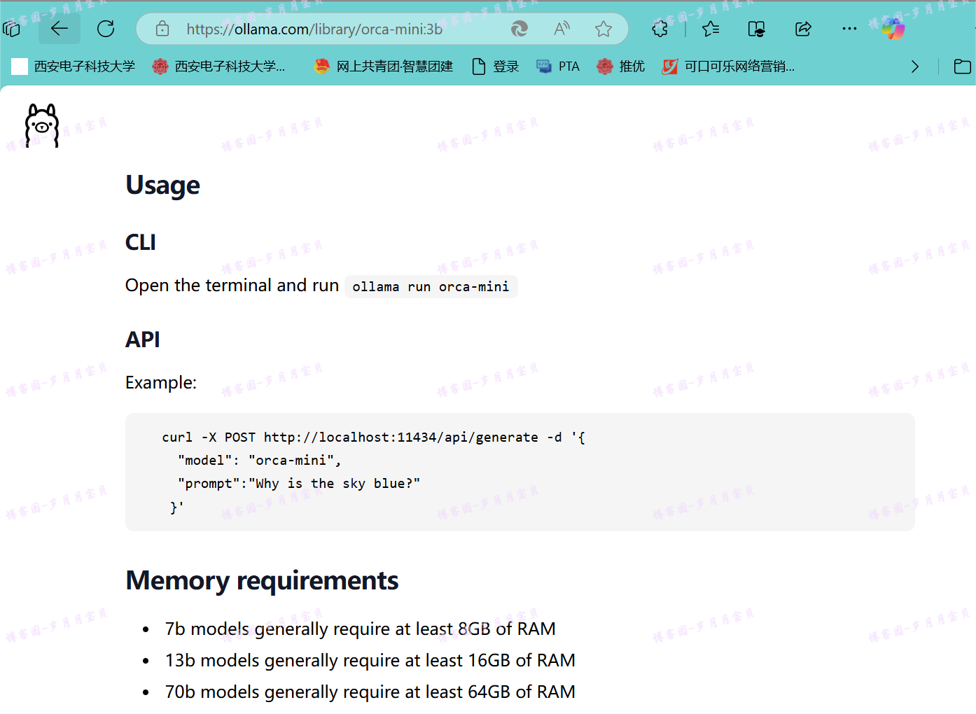 image-20250122211631277