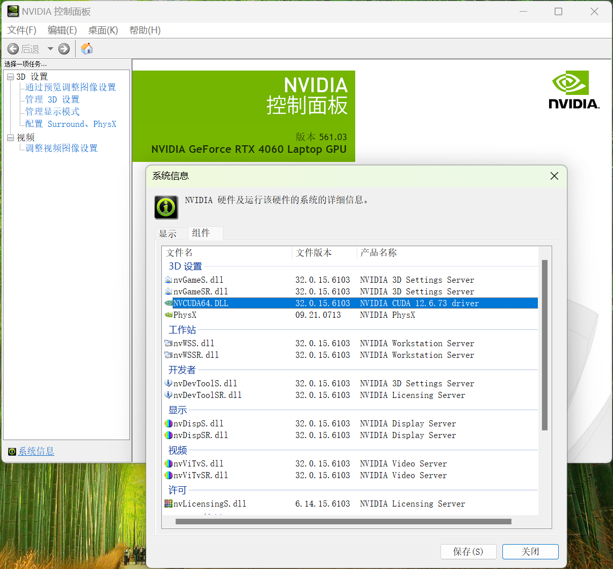 image-20250126200319945