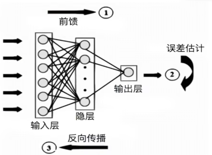 image-20250212033633286