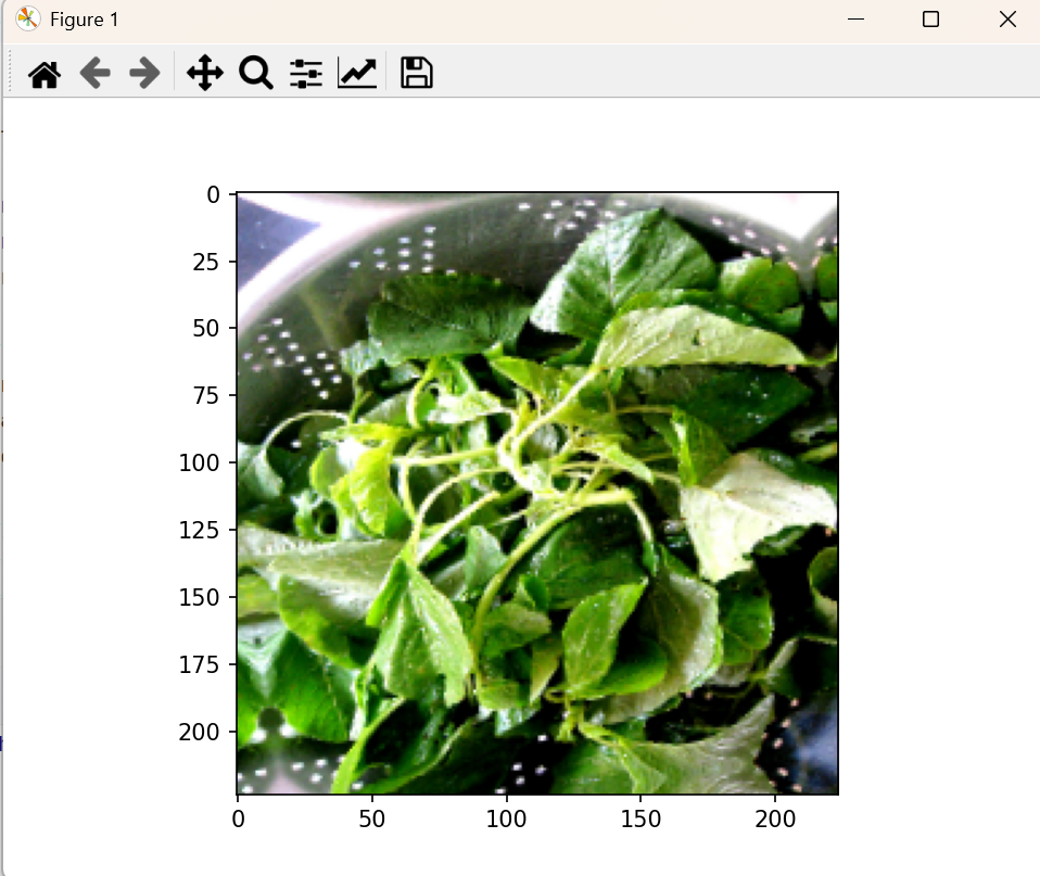 image-20250215133832183