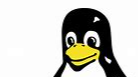 linux开发记录：在linux环境下编写代码（2）
