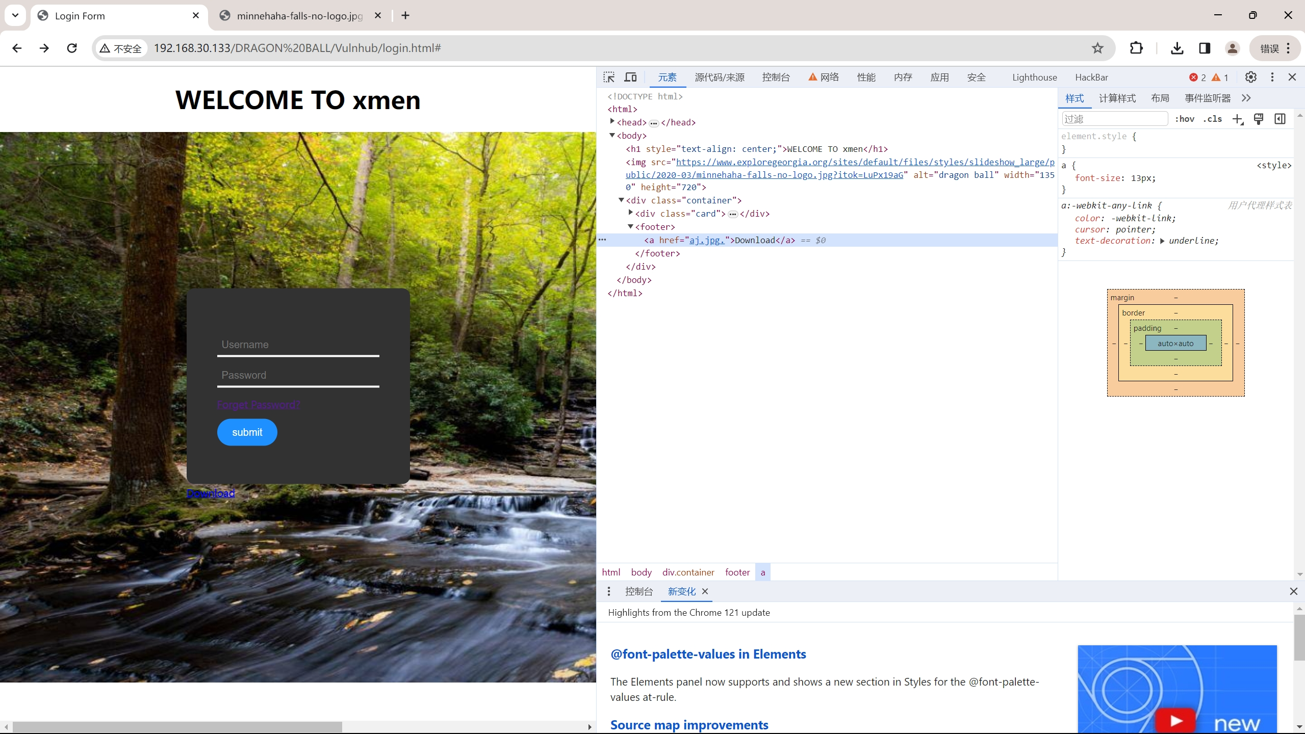 image-20240222164314069