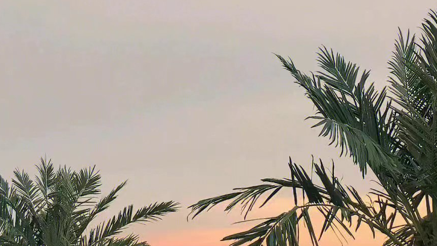 原型设计工具比较及实践