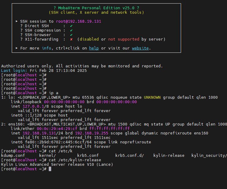 image-20250228172328408