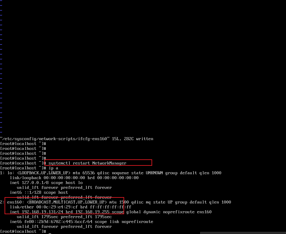 image-20250228171832258