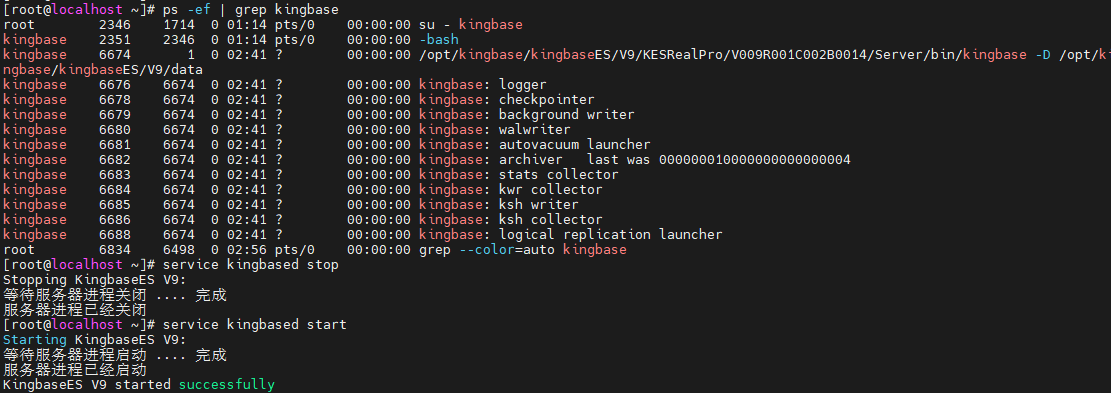 image-20250428030703925