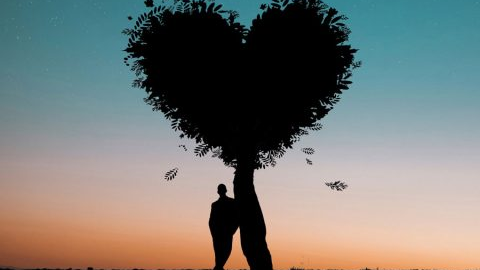 我的第一篇博客